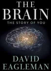 دانلود سریال The Brain with Dr. David Eagleman428613-399541586
