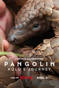 دانلود مستند Pangolin: Kulu’s Journey 2025430703-1364250522