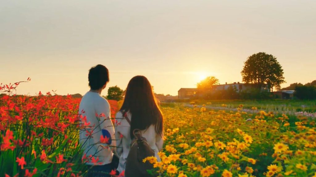 دانلود فیلم The Hows of Us 2018