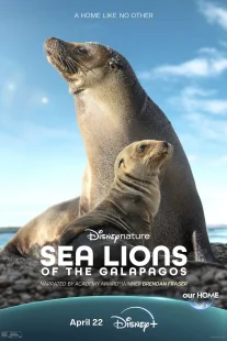 دانلود مستند Sea Lions of the Galapagos 2025431056-1769019388